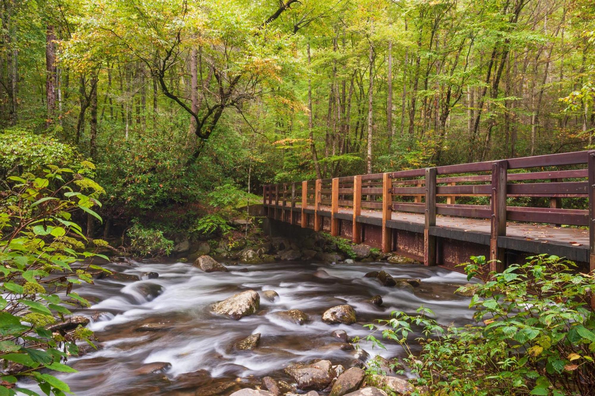 Brentwood, Resort Pool, 1089 Of Free Attraction Tickets For Each Paid Day, Dollywood And More! Pigeon Forge Eksteriør bilde